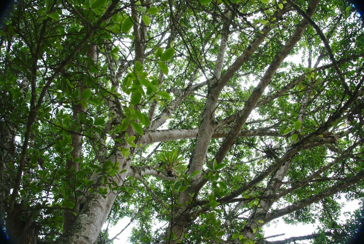 Finca Umnisa - Choachi Bagian luar foto