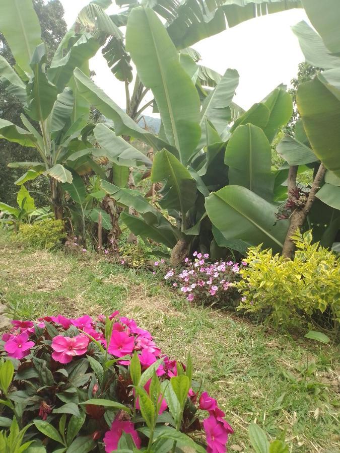 Finca Umnisa - Choachi Bagian luar foto